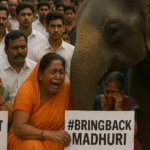 🐘 “Bring Back Madhuri”: Kolhapur Cries for Their Daughter of the Soil 🐘 “#माधुरीला_परत_आणा”: कोल्हापूरच्या जनतेचा हृदयस्पर्शी आक्रोश